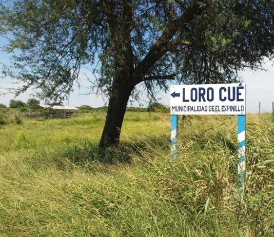 EL ESPINILLO: Originarios de la comunidad Loro Cué interrumpen el tránsito sobre la Ruta Nacional 86.