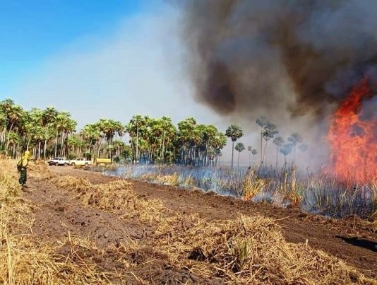 Unas 15 mil hectáreas del Parque Nacional «Río Pilcomayo» fueron consumidas por el fuego.