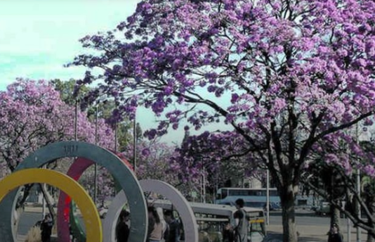 El pronóstico para este viernes 30 en el país.