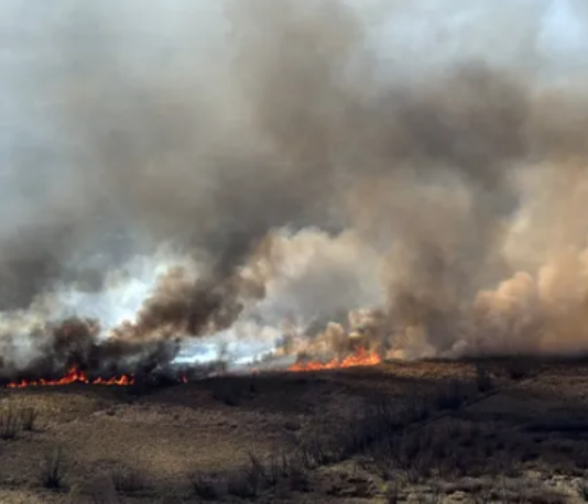 LEY DE HUMEDALES: Suspenden el plenario de comisiones y el campo se moviliza en rechazo al proyecto