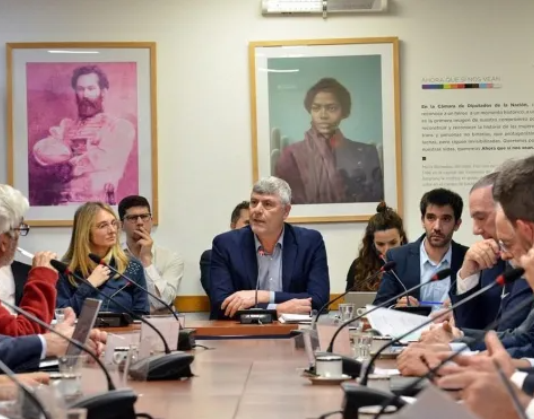 LEY DE HUMEDALES: Expertos cuestionaron el proyecto del oficialismo y aseguraron que no soluciona los problemas de incendios.