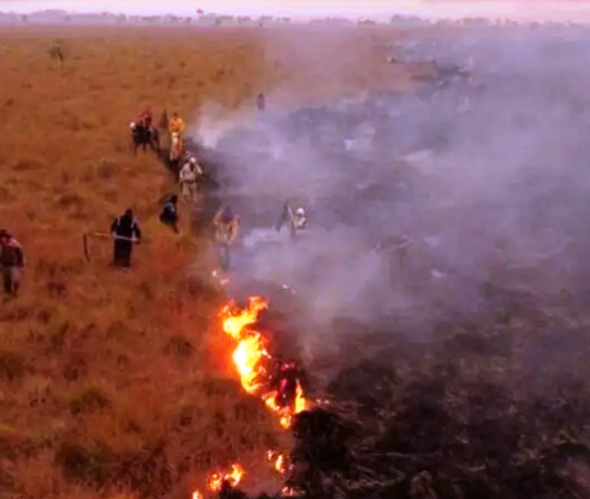 CORRIENTES EN ALERTA POR INCENDIOS: Prohíben todo tipo de quemas.