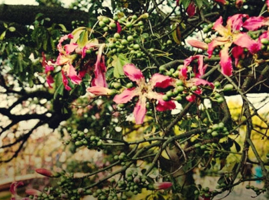 El pronóstico del tiempo para el jueves 22 de septiembre