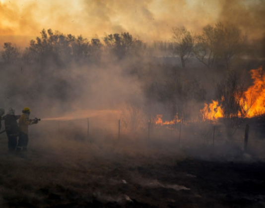 Sequía, cambio climático y falta de políticas: ¿por qué cada vez hay más incendios en la Argentina?