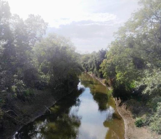 LAGUNA NAINECK: El agua de El Porteño continúa apta para riego.