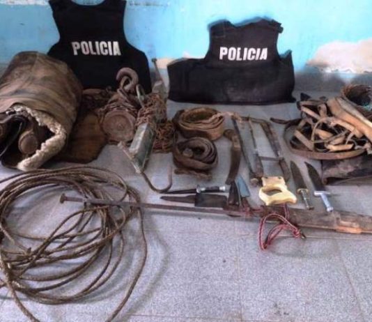 Gral. BELGRANO: Esclarecen hecho de abigeato, recuperan siete vacunos en pie y dos caballos.