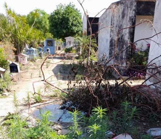 LAGUNA NAINECK: De nuestros lectores.