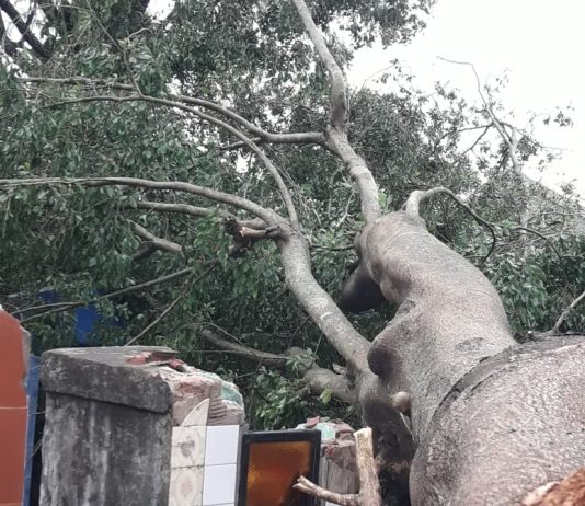 LAGUNA NAINECK: Con algunos percances en viviendas de la zona, el temporal de viento y lluvia trajo alivio para aplacar la crítica sequía.