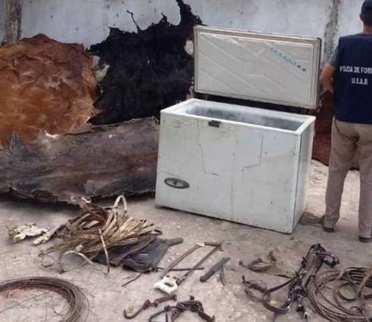 TRES LAGUNAS: Secuestran caballos, carne vacuna y otros elementos por un hecho de abigeato, que tuvo dos detenidos.