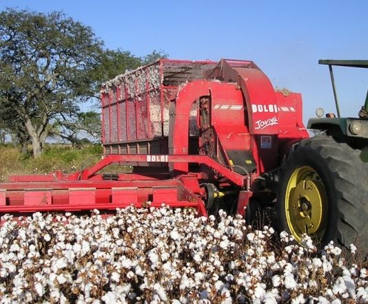 Santa Fe presentó líneas de crédito para impulsar la producción de algodón.