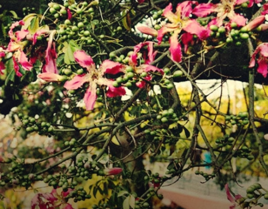 CLIMA: El pronóstico para este martes 11 de octubre.