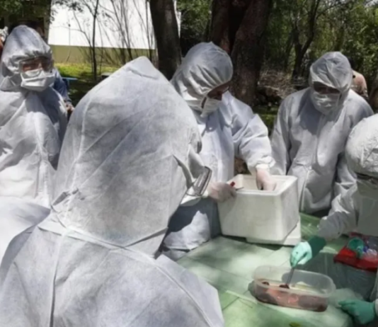 Corrientes en alerta y con tareas de prevención por Fiebre Amarilla.