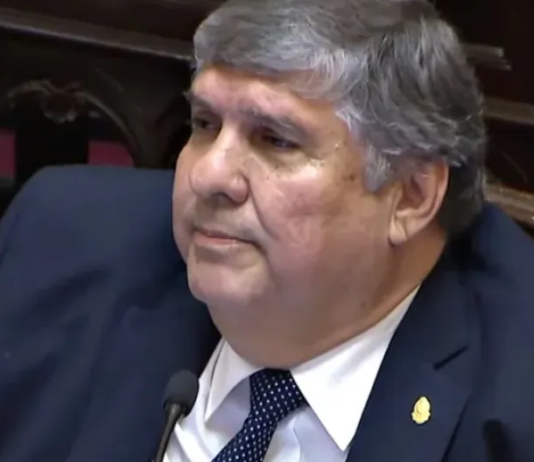 Mayans no volvería al Senado hasta el año próximo y complica los planes de Cristina.