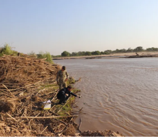 Aguas del Pilcomayo con veneno no declarado beben los ribereños.