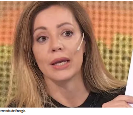 Por presiones internas, el Gobierno confirma que postergó el aumento de la luz