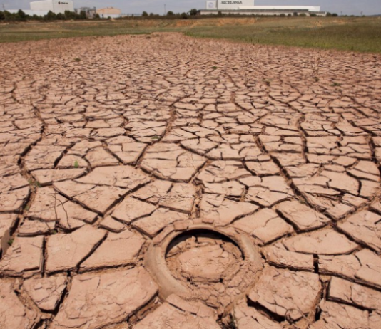 SEQUIA: Hay 140 millones de hectáreas afectadas y el fenómeno se extendería hasta el verano.