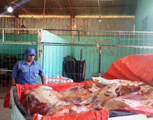 RIACHO HE HE: Secuestraron carne transportada sin refrigeración.