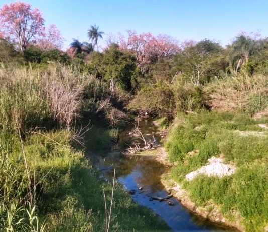 LAGUNA NAINECK: El Porteño continúa con agua apta para riego.