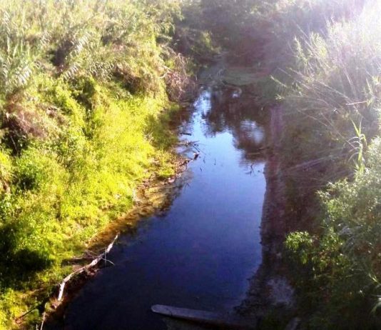 LAGUNA NAINECK: Cambió el ciclo de EL PORTEÑO y su agua no es recomendable para riego.