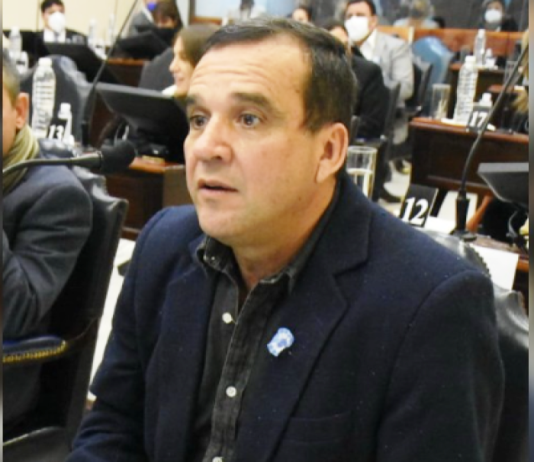 ZARATE: «Gildo Insfrán es un gobernador Unitario».