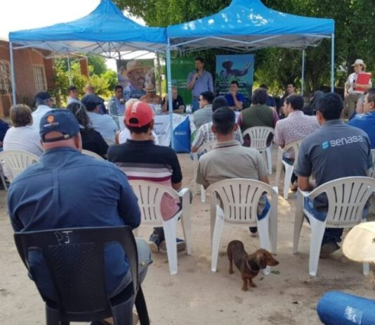 ALGODON: Dieron apertura a la siembra del cultivo de la campaña 2022 – 2023.