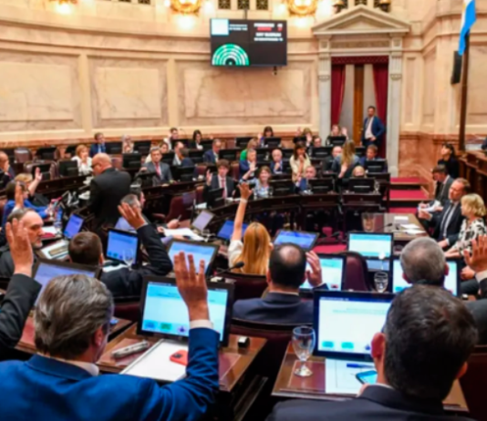Sin la oposición, el Senado convirtió en ley el Presupuesto 2023.