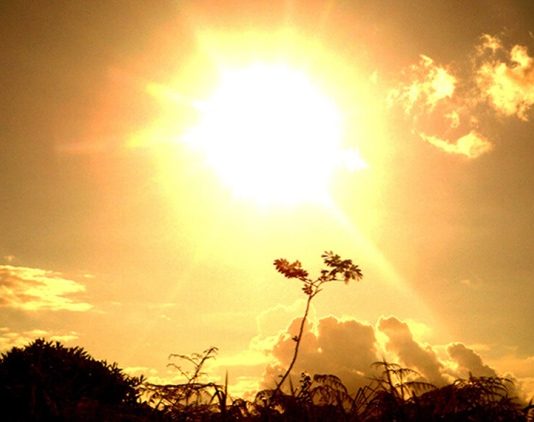 Se alarga la espera: La Niña tiene un 84% de probabilidad para enero.