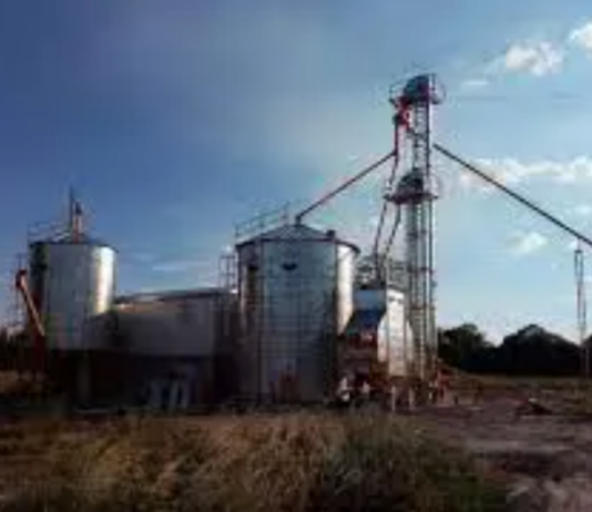 Sin la bajada de luz, alquilaron un grupo electrógeno para poner en marcha la planta aceitera en Ibarreta
