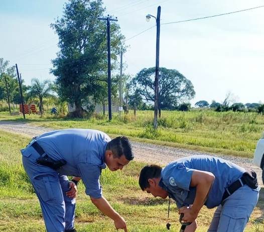 BUENA VISTA: Rescatan cachorros de una alcantarilla.