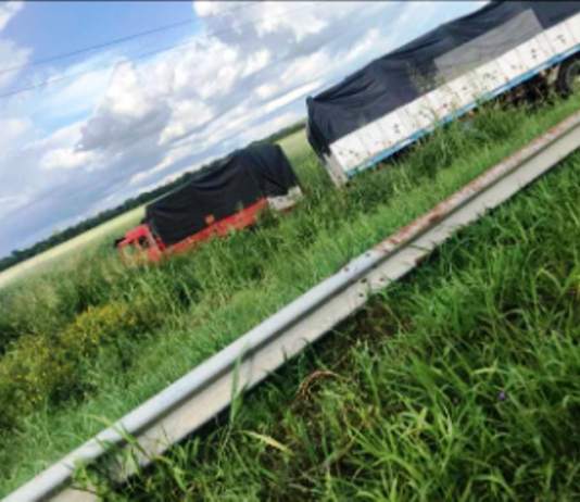 LA PRIMAVERA: Un camión de transporte con acoplado despistó en zona del puente Sastrow.