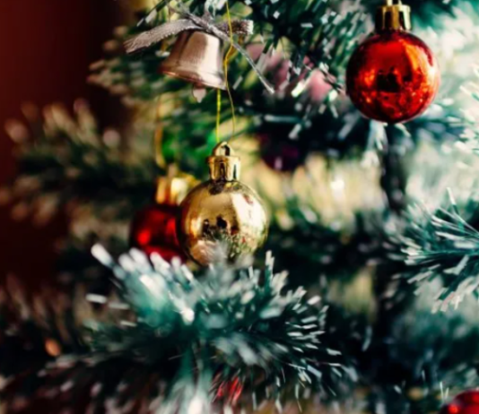 NAVIDAD: Por qué se arma el árbol cada 8 de diciembre.