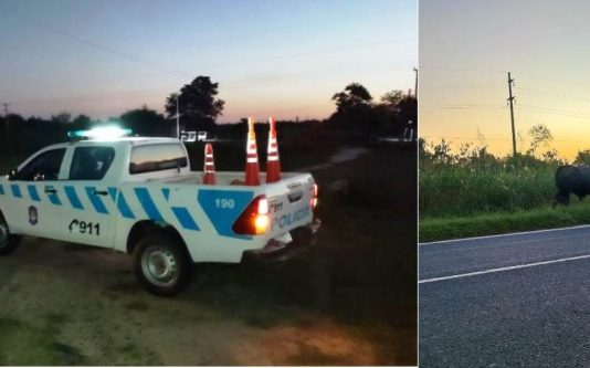 BUENA VISTA: La policía local realizó tareas de prevención en forma conjunta con efectivos de Seguridad Vial de El Espinillo.