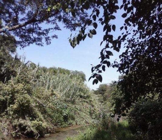 LAGUNA NAINECK: El agua de El Porteño no es apta para tareas de riego