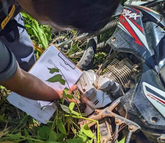 PALMA SOLA: En rápida intervención personal policial recuperó una motocicleta sustraída.