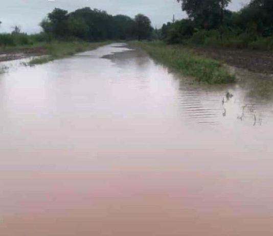 SIETE PALMAS: Con el regreso de la lluvia se renovaron los reclamos por la postergada pavimentación del acceso al pueblo.