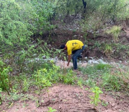 El gobernador Insfrán decretó Emergencia Agrícola en Formosa