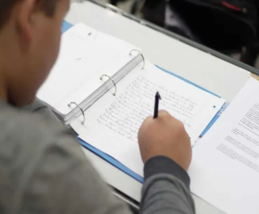 VUELTA AL COLE: El 27 de febrero comienzan las clases en Formosa con el objetivo de «cumplir los 190 días»