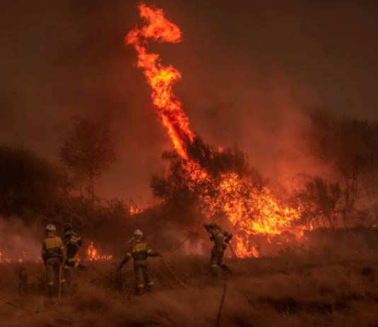 HELADAS, INUNDACIONES Y CALOR EXTREMO: 6 eventos climáticos de 2022 que muestran que el planeta está al límite