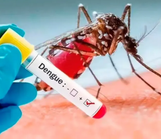 El Ministerio de Salud emitió una alerta por casos de dengue: ¿a qué estar atentos?