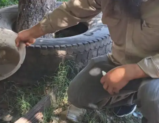 Instan a vecinos a continuar con los recaudos para dar batalla al dengue
