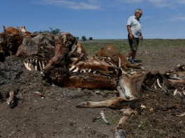 El Gobierno y el campo se reúnen para definir soluciones frente a las pérdidas generadas por la sequía
