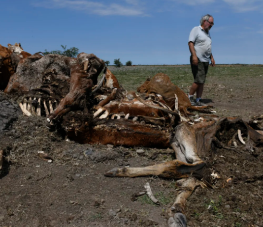 El Gobierno y el campo se reúnen para definir soluciones frente a las pérdidas generadas por la sequía