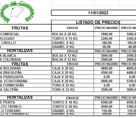 MERCADO DE CORRIENTES: Precios de FRUTAS y HORTALIZAS – 11/1/2023