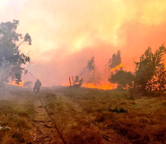 Alerta roja por riesgo de incendios forestales en todo el territorio nacional