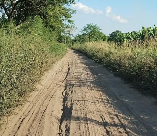 LAGUNA NAINECK: El Palomar reclama el arreglo de su acceso.