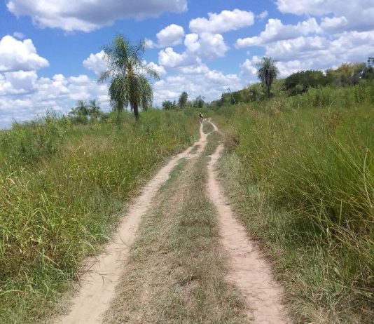 Cnia. EL PARAISO: Vecinos de jurisdicción de la Escuela 255 tambien piden la reparacción de importante camino vecinal.