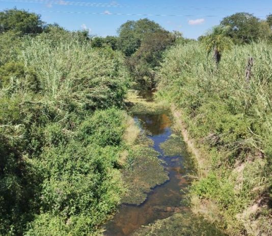 LAGUNA NAINECK: El agua de El Porteño es apta para riego