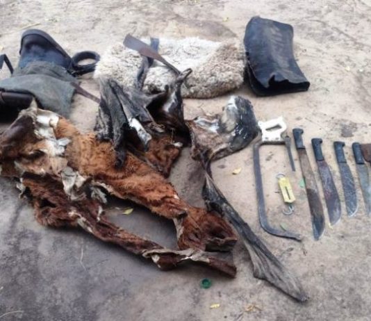 MISION TACAAGLE: La Policía esclareció un hecho de Abigeato