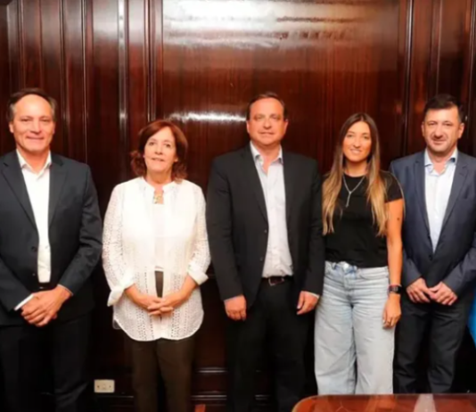 Se quebró el bloque del Frente de Todos en el Senado: cinco legisladores formarán una bancada propia