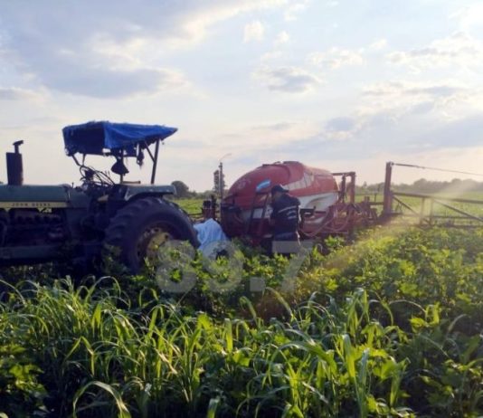 RIACHO HE HE: Un hombre murió mientras realizaba trabajos de fumigación en un tractor